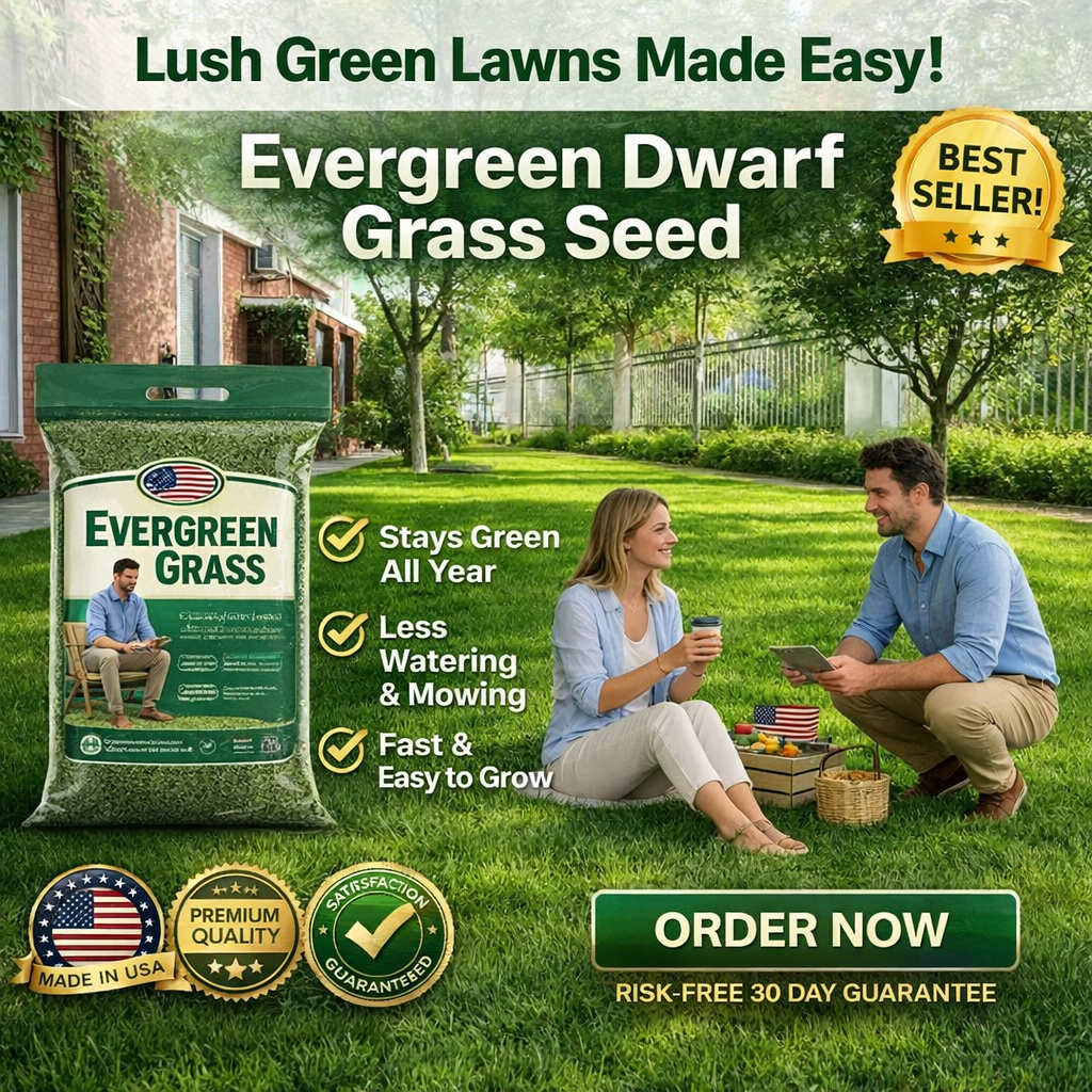 🌱 2026 Next-Gen Lawn Seed for Stronger, Greener Grass