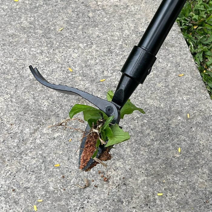 🔥LAST DAY SALE 49% OFF-Detachable Stand Up Weed Puller