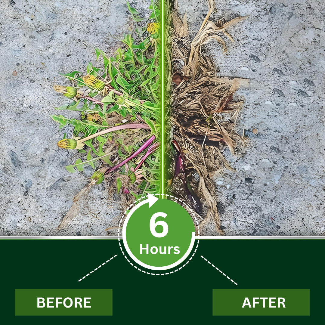 2 in 1 Max Power Herbicide