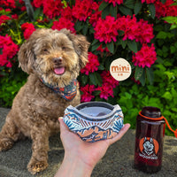 Daybreak