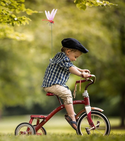 2025 Summer Hot Sale🔥 49% OFF-Dragonfly Clip Bug Repe Llent （BUY 3 FREE SHIPPING)