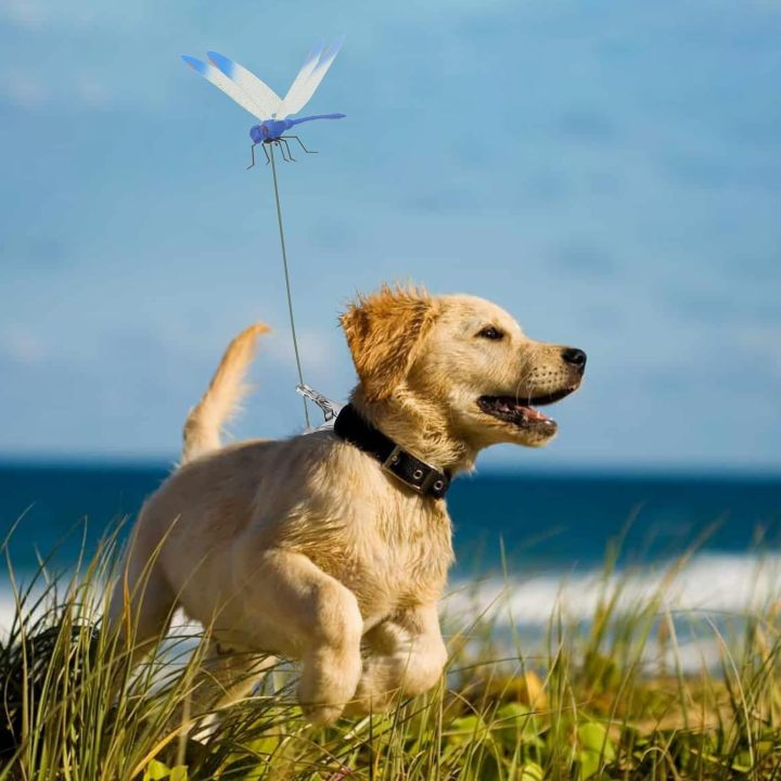 2025 Summer Hot Sale🔥 49% OFF-Dragonfly Clip Bug Repe Llent （BUY 3 FREE SHIPPING)