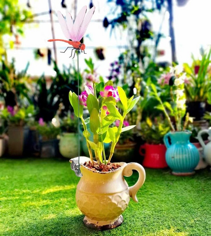 2025 Summer Hot Sale🔥 49% OFF-Dragonfly Clip Bug Repe Llent （BUY 3 FREE SHIPPING)