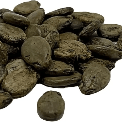 🍉50/100PCS Heirloom Non-GMO Watermelon Seeds – Easy-Grow “Lazy Man” Variety, Sweet & Nutritious, Replant Every Year🌱