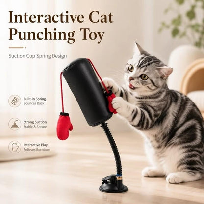 😹Last Day Promo: 49% OFF🥊Cats Punching Glove Toy - Make your little cat no longer bored