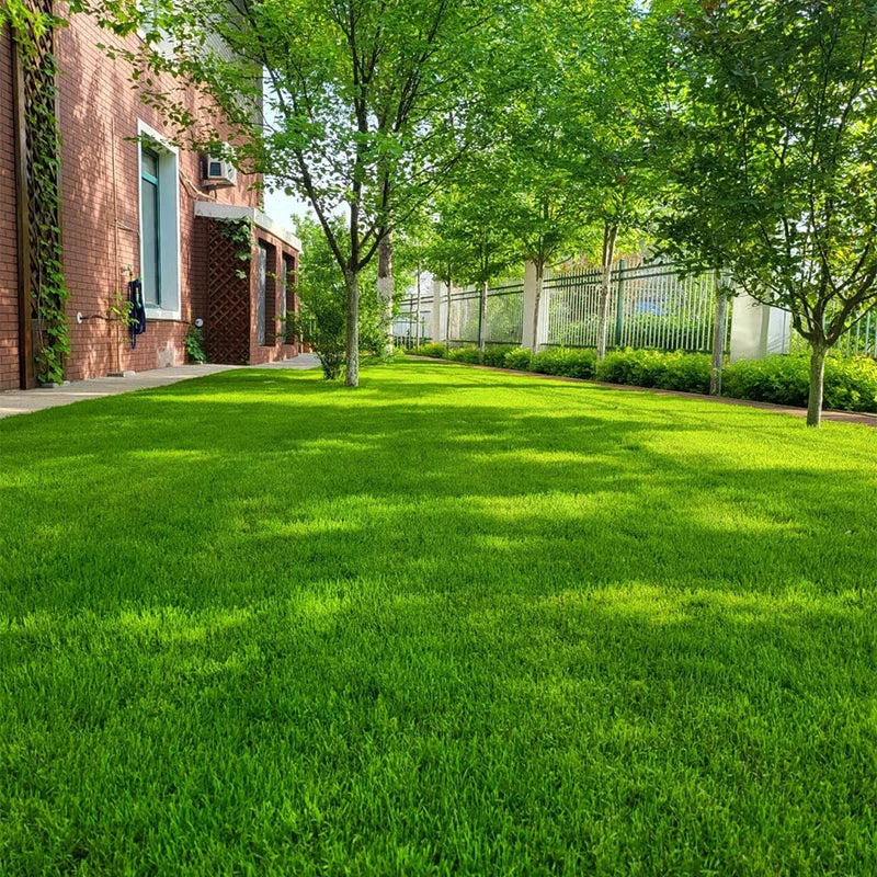 🌱 2026 Next-Gen Lawn Seed for Stronger, Greener Grass