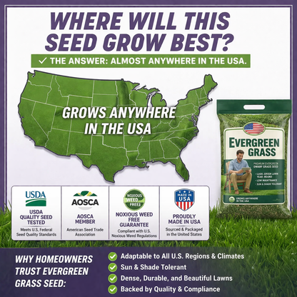 🌱 2026 Next-Gen Lawn Seed for Stronger, Greener Grass