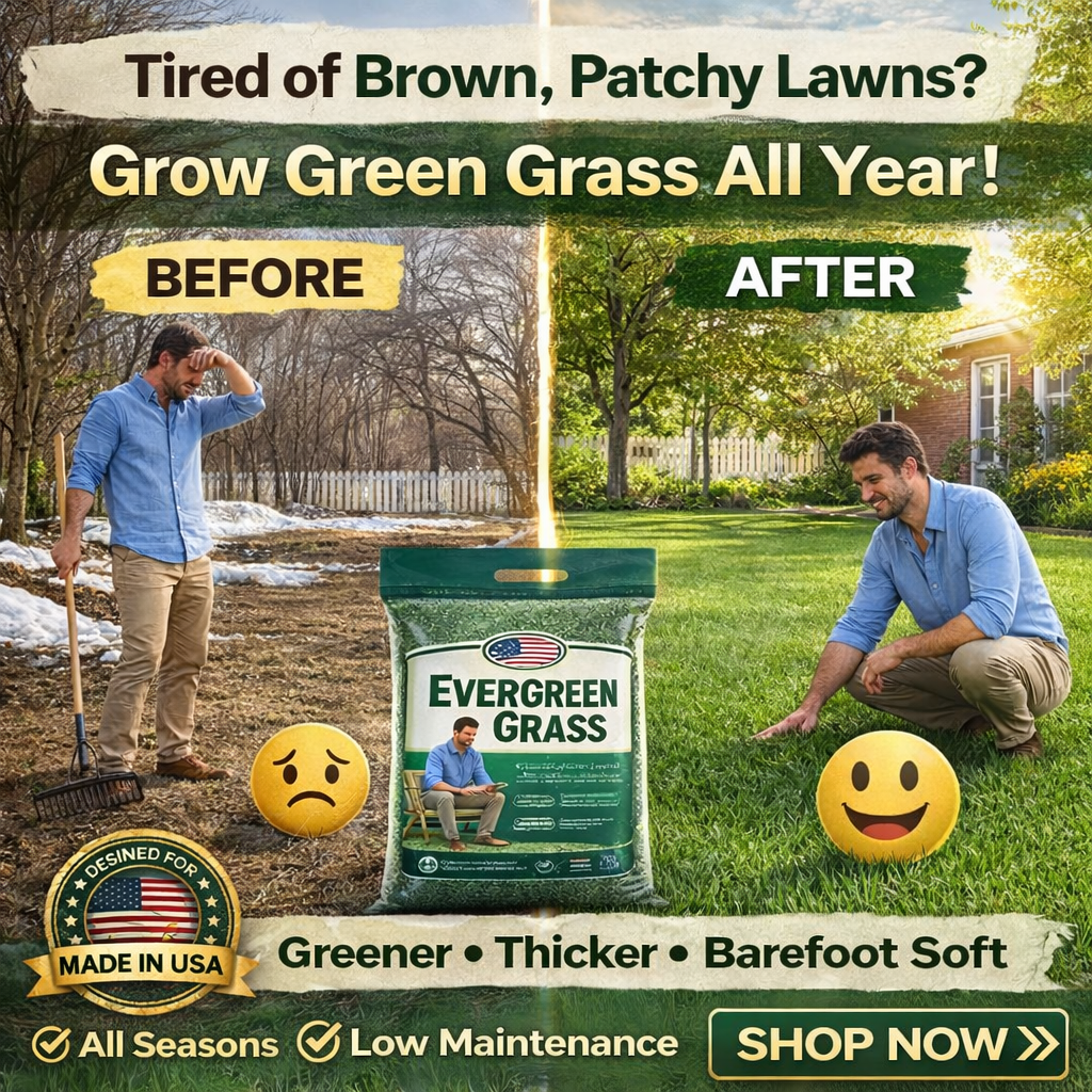 🌱 2026 Next-Gen Lawn Seed for Stronger, Greener Grass