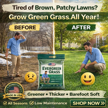 🌱 2026 Next-Gen Lawn Seed for Stronger, Greener Grass