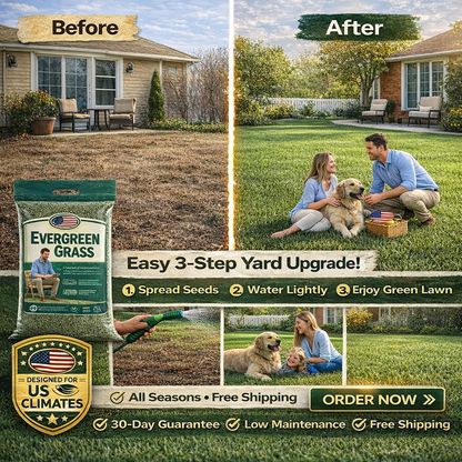 🌱 2026 Next-Gen Lawn Seed for Stronger, Greener Grass