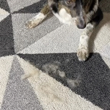 🚀🚀The Magic Brush - Buy 1 Get 1 Free