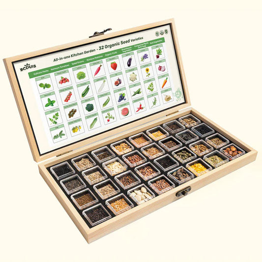 All-in-One Kitchen Garden Seed Bank - 32 Organic Seed Varieties