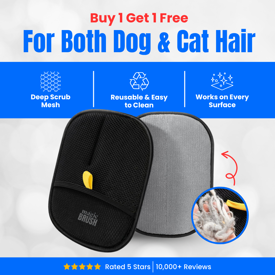 🚀🚀The Magic Brush - Buy 1 Get 1 Free