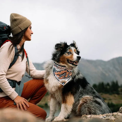 🐶2-in-1 Reversible Dog Bandana Bowl, Lightweight Spill-Proof TPU Travel Feeding Bowl for All Dogs Outdoor Hiking Camping💧