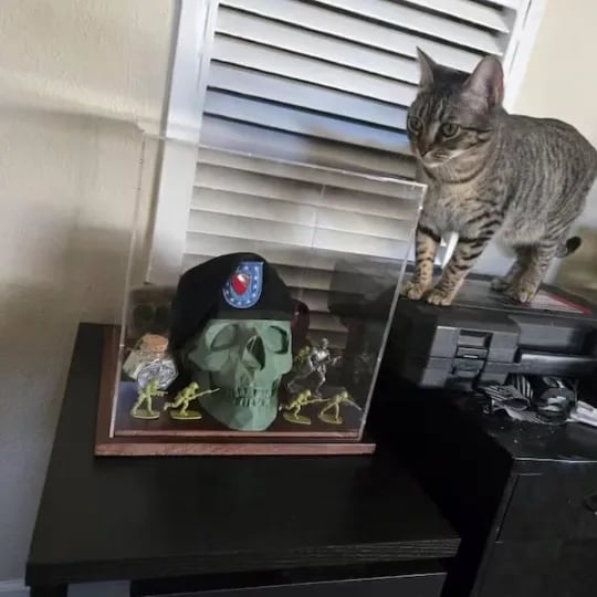 🔥Last Day 50% OFF - Military Beret Display Skull Veteran Gift | Custom Personalized Available 🪖💀