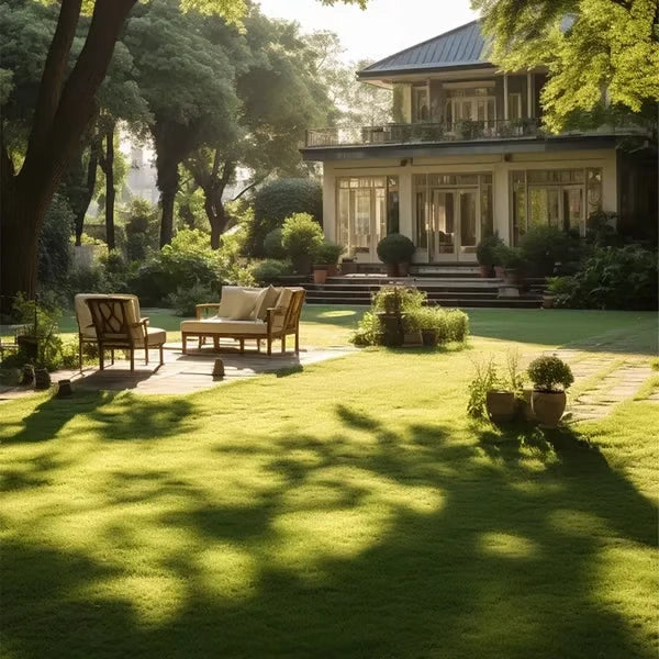 🌱 2026 Next-Gen Lawn Seed for Stronger, Greener Grass